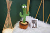 Load image into Gallery viewer, Dancing Cactus Toy
