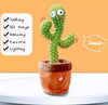 Dancing Cactus Toy